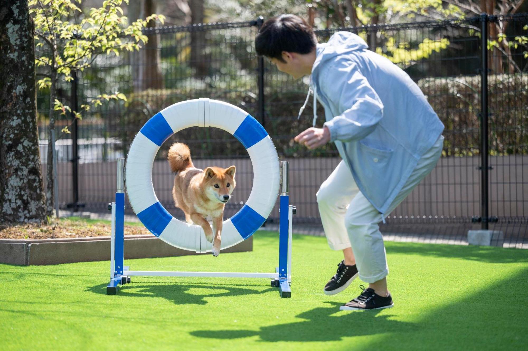 Izumigo Lake Hamana Dog Paradise Hotel Hamamatsu Dış mekan fotoğraf