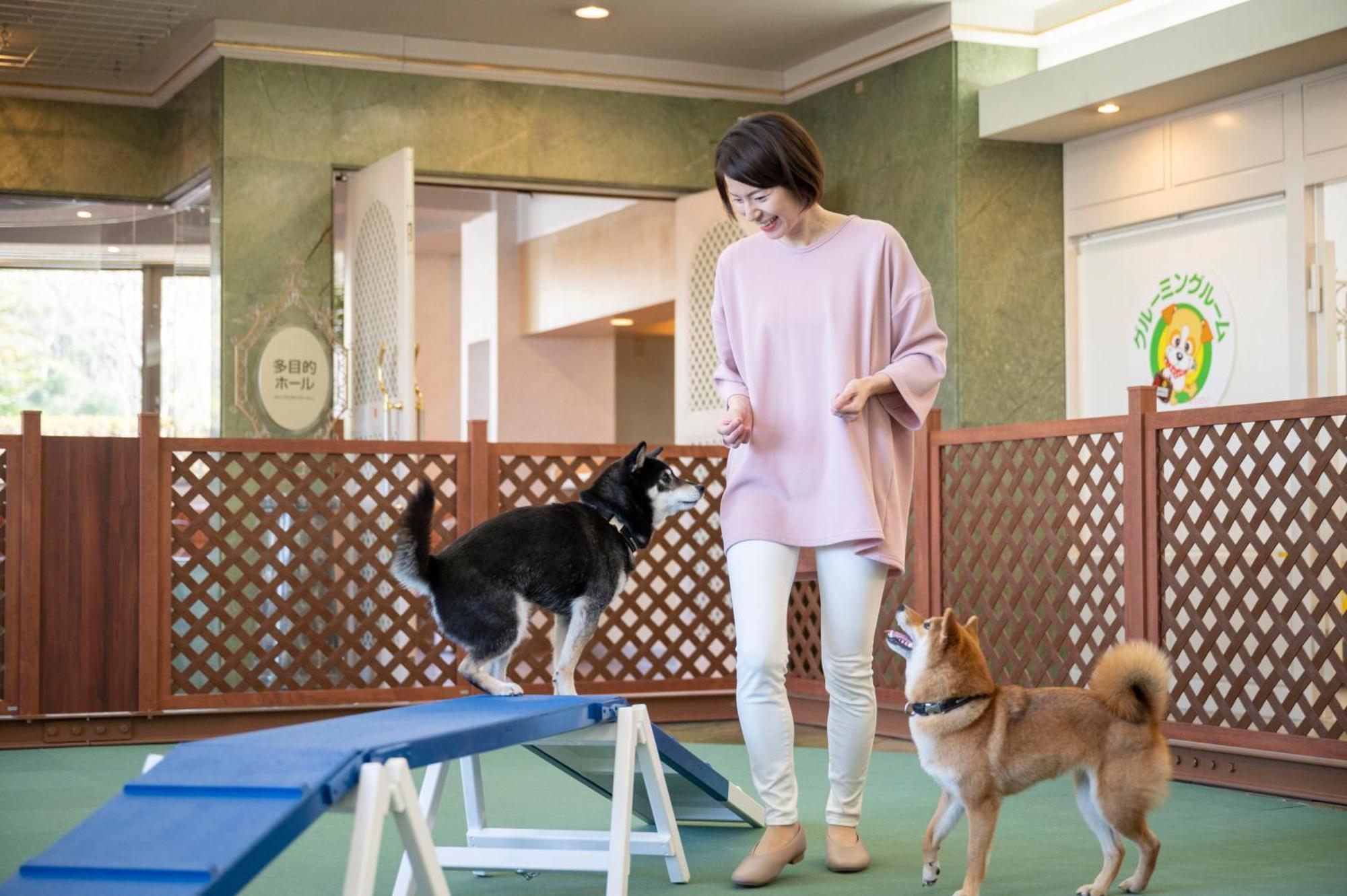 Izumigo Lake Hamana Dog Paradise Hotel Hamamatsu Dış mekan fotoğraf