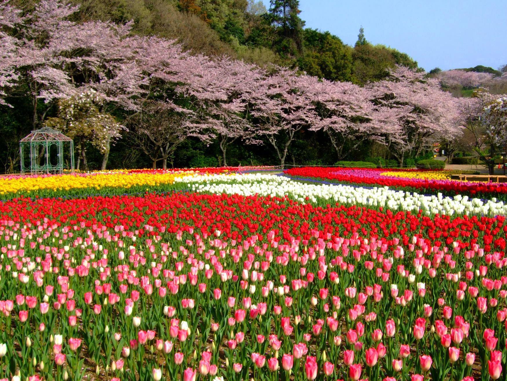 Izumigo Lake Hamana Dog Paradise Hotel Hamamatsu Dış mekan fotoğraf